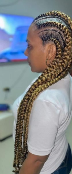 PEINADOS PROTECTORES